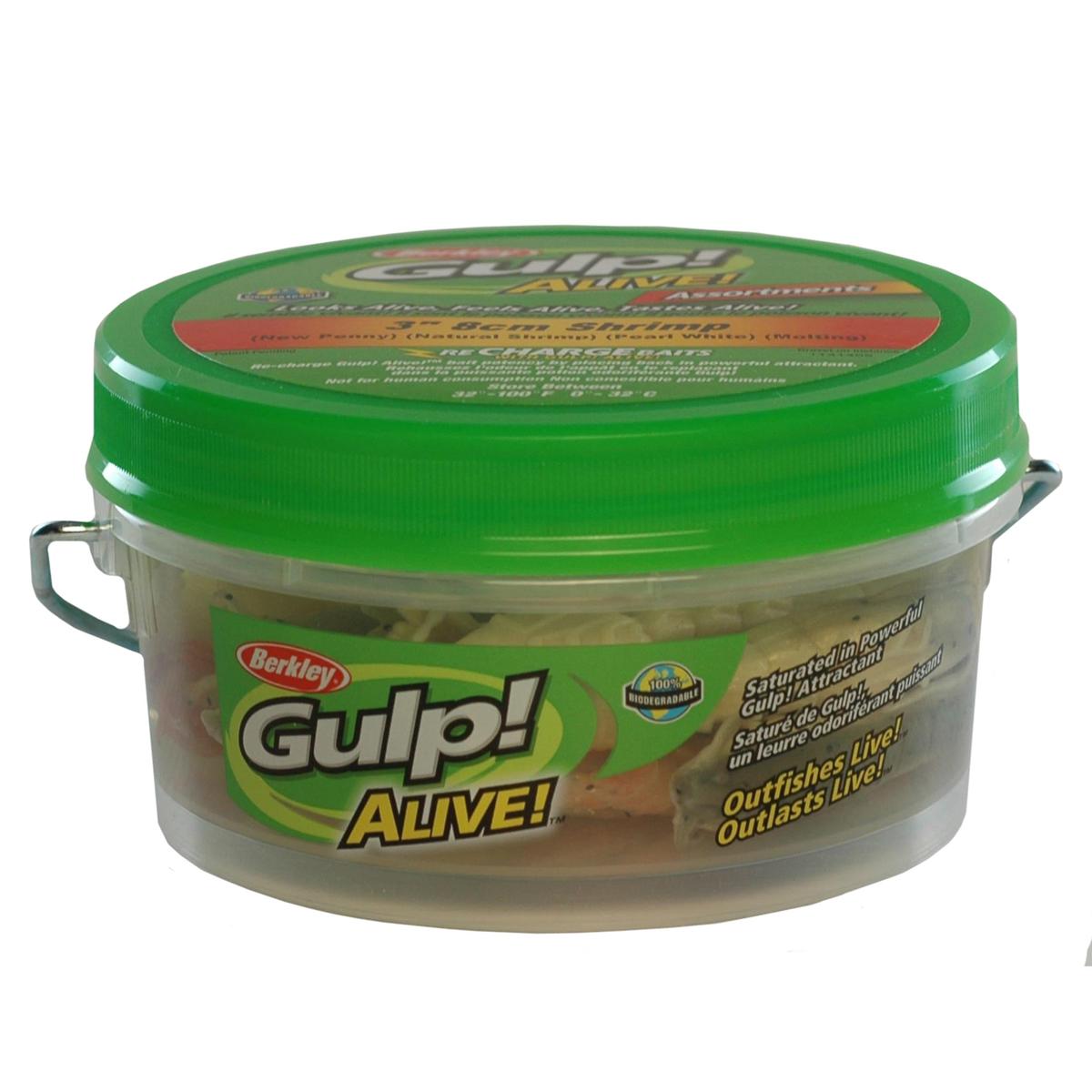 Gapshr3-ast1 Gulp Alive Assort 3in Shrmp