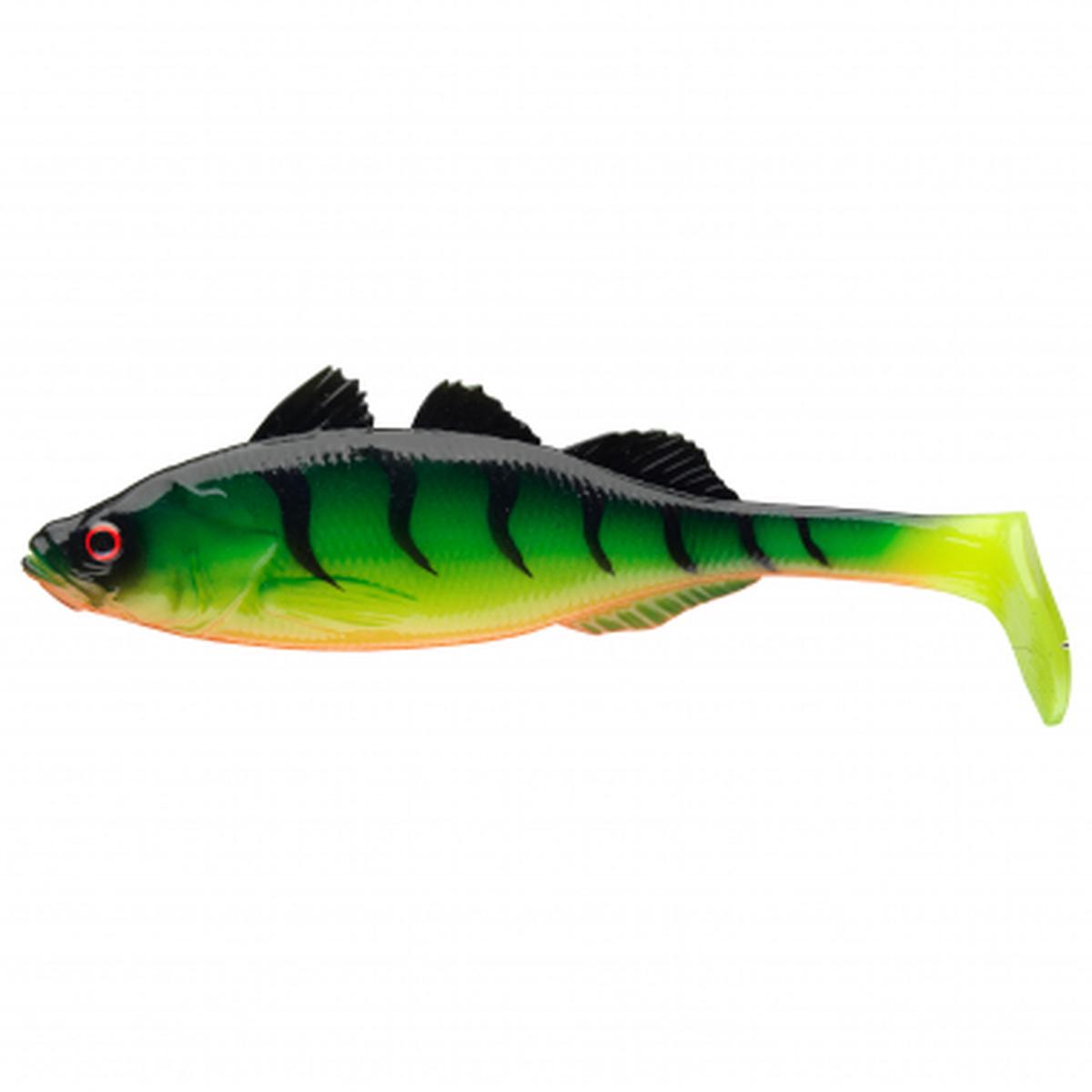 Live Perch (Firetiger)