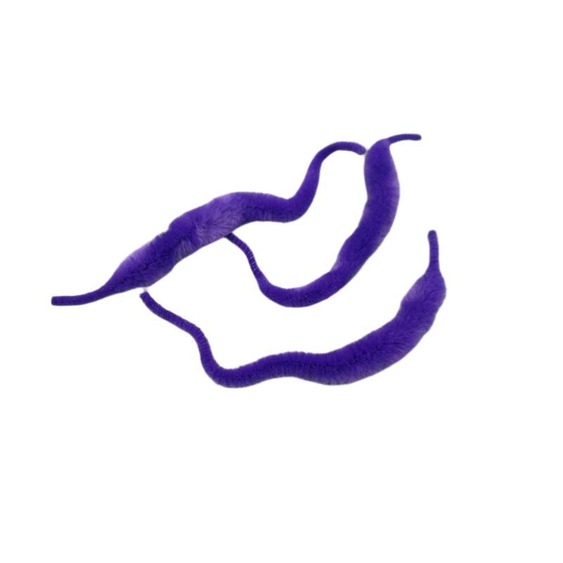 Whalesback - Mini Dragon Tails
