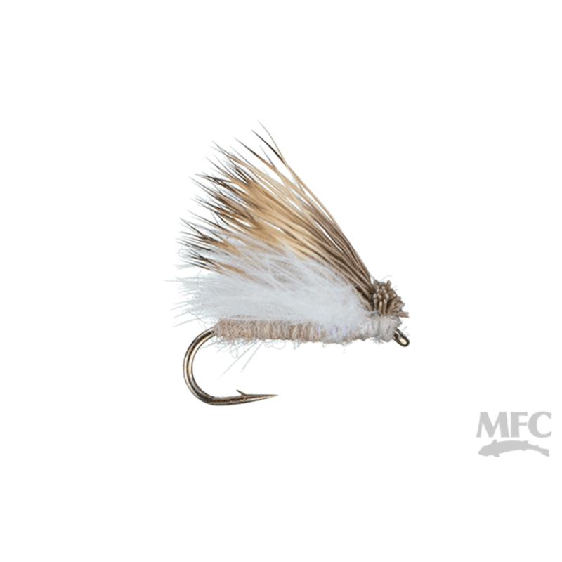 Jake's Richter Scale Spruce Moth