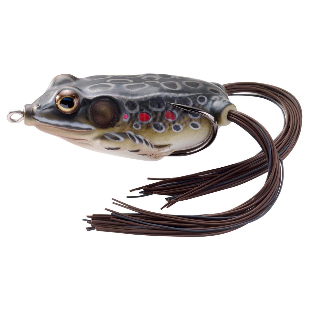 Frog Hollow