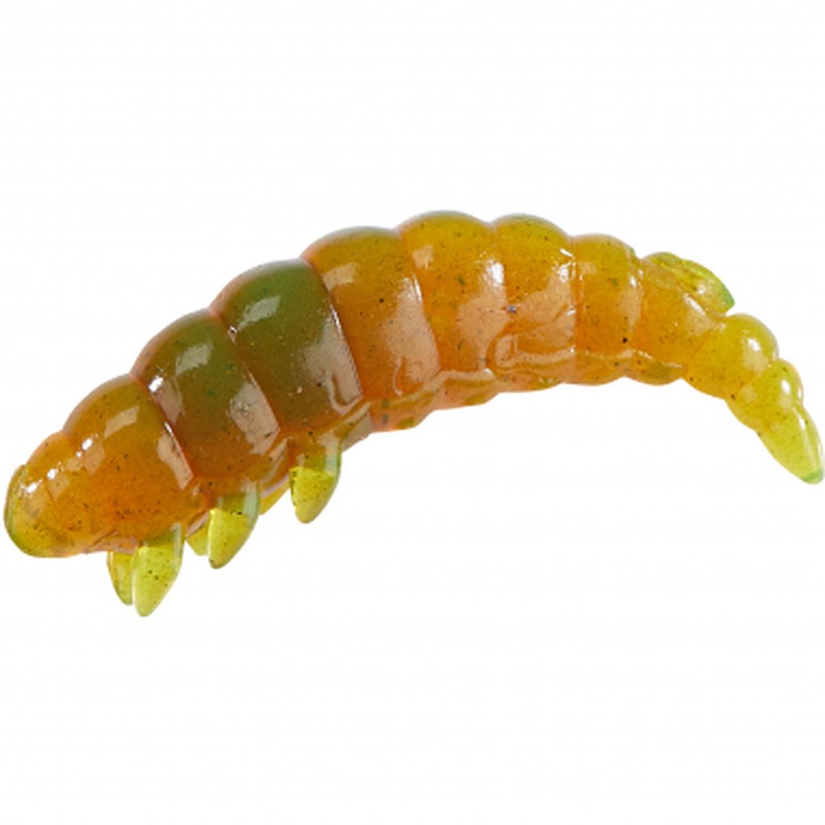 Larva Trout Atttack (Motoroil)