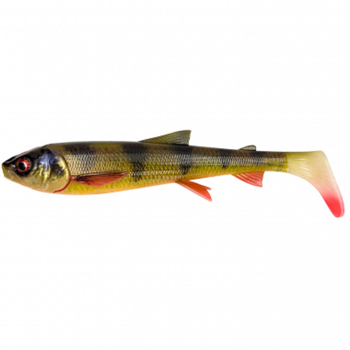 3D Whitefish Shad (Perch)