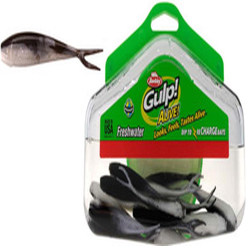 Berkley GAFHPMI3 Gulp Alive 3'' Minnow Black Shad