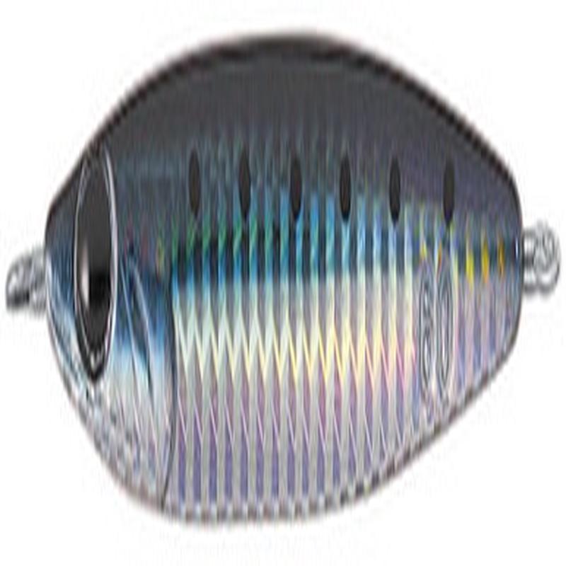 Daiwa Zakana Jig - 100g - Maiwashi