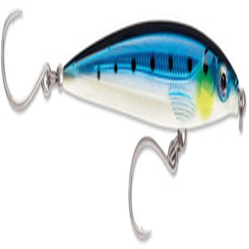 Rapala SXRLS14 X-Rap Long Cast Shallow Lure BSRD Blue Sardine