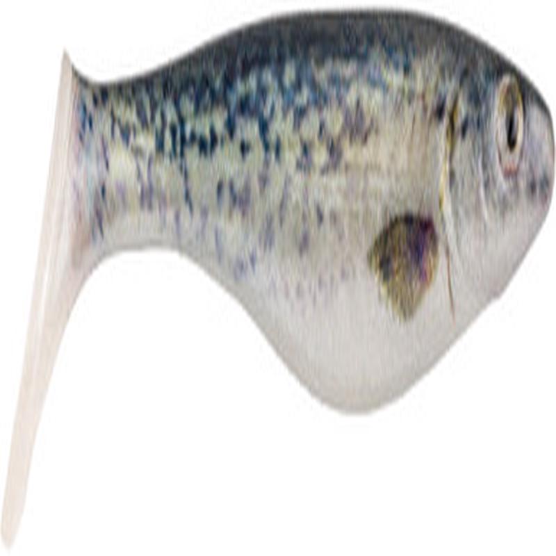 Berkley Powerbait The Champ Swimmer - HD Black Crappie