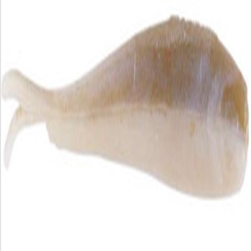 Berkley GAJMI1-SMLT Gulp Alive 1'' Minnow Smelt