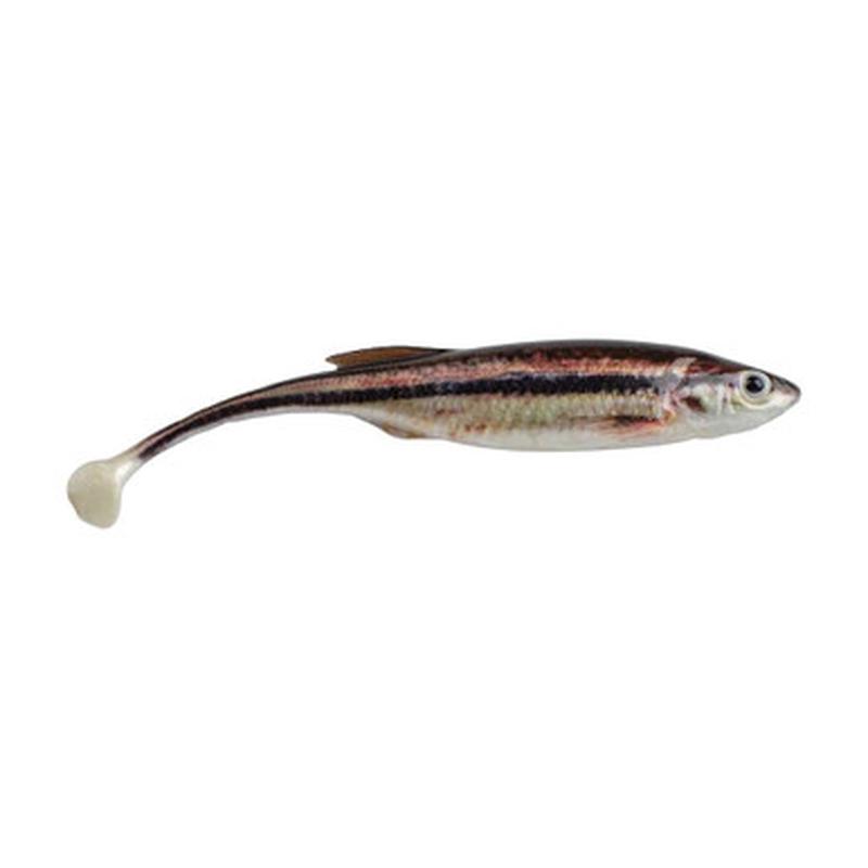 Berkley PowerBait Drip Swimmer - 3in - 6 Pack - HD Blacknose Shiner