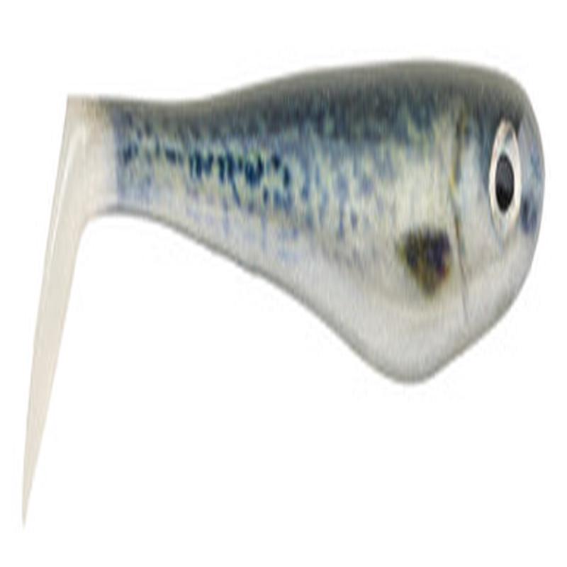 Berkley Powerbait Hollow Belly Swimbait - 4in - HD Black Crappie