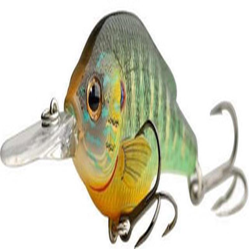 LIVETARGET Lures Pumkinseed Crankbait PS57M Medium Dive 2.25in 100 Natural Matte