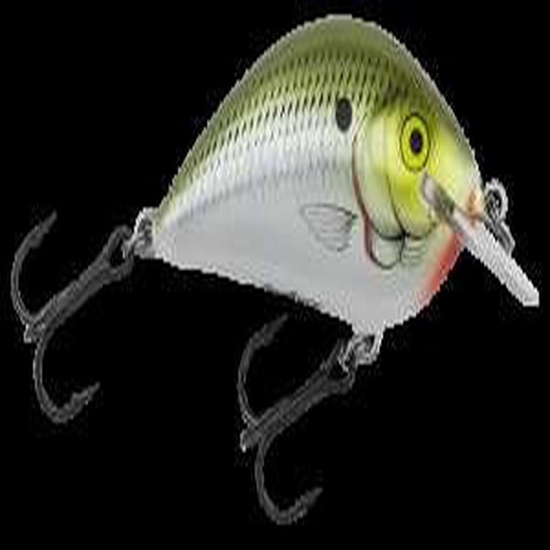 Bagley Pro Sunny B 07 Squarebill - Olive Shad