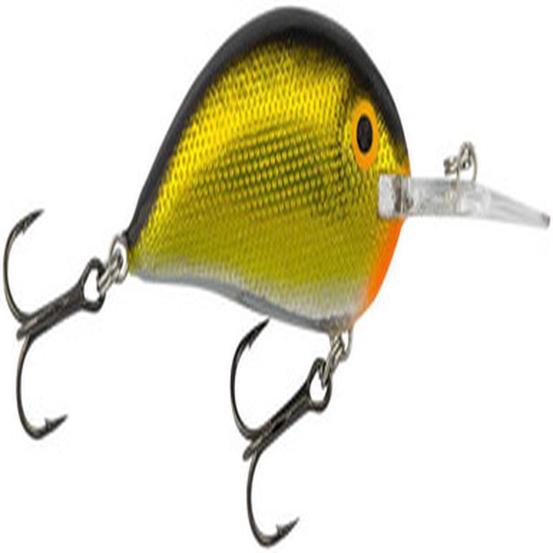 Bagley SB05-G Sunny B 05 - Gold
