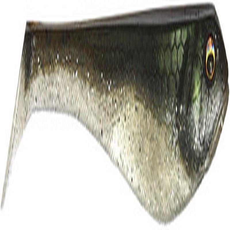 Beast Coast Miyagi Swimmer - Prey Bass