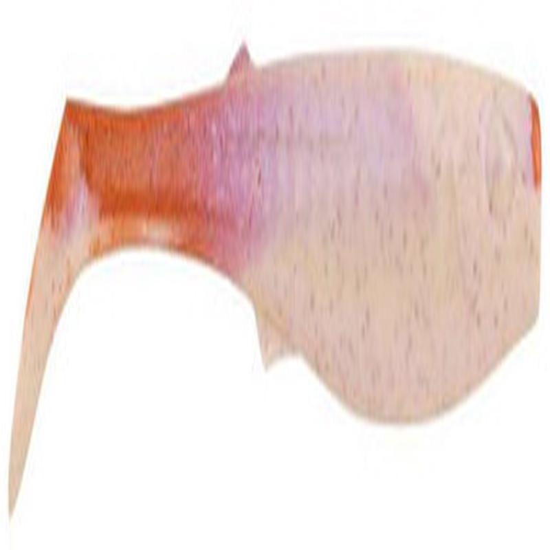 Berkley Gulp! Freshwater Paddleshad - 5in - Purple Penny
