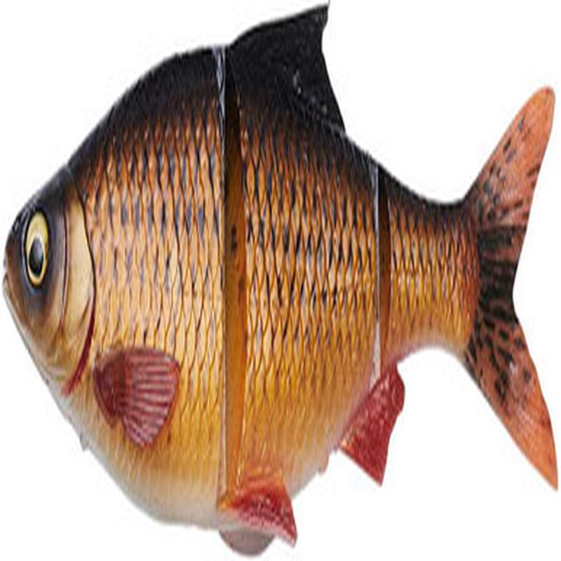 Savage Gear 3D Gizzard Swimbait - 10in - Dirty Roach