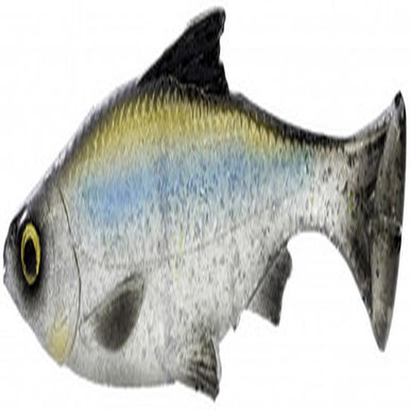 Savage Gear Pulse Tail Shiner LT Swimbait - Hitch