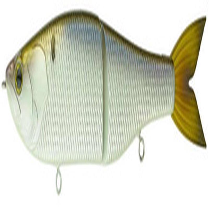 6th Sense Draw Glide Bait - 9in - Slow Sink - Shad