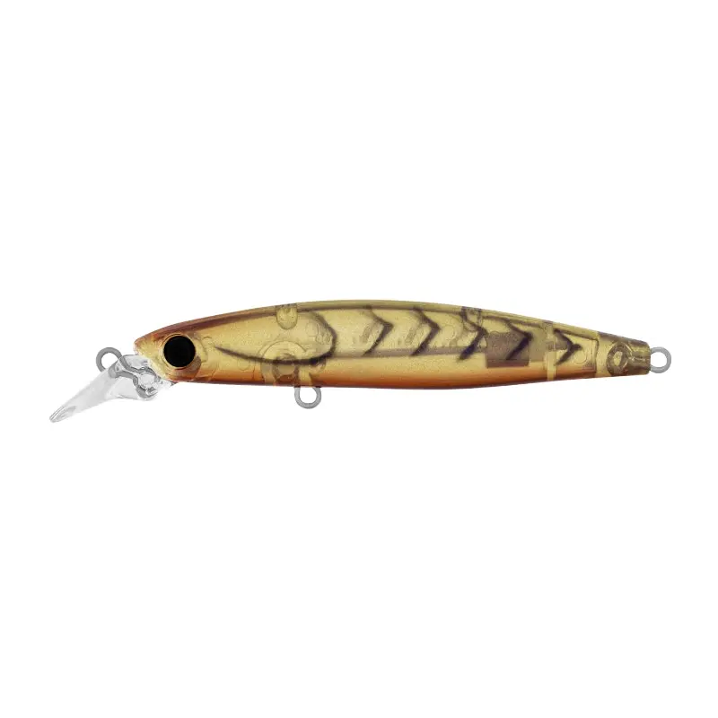 Daiwa Infeet Sazanami 60SP Lure