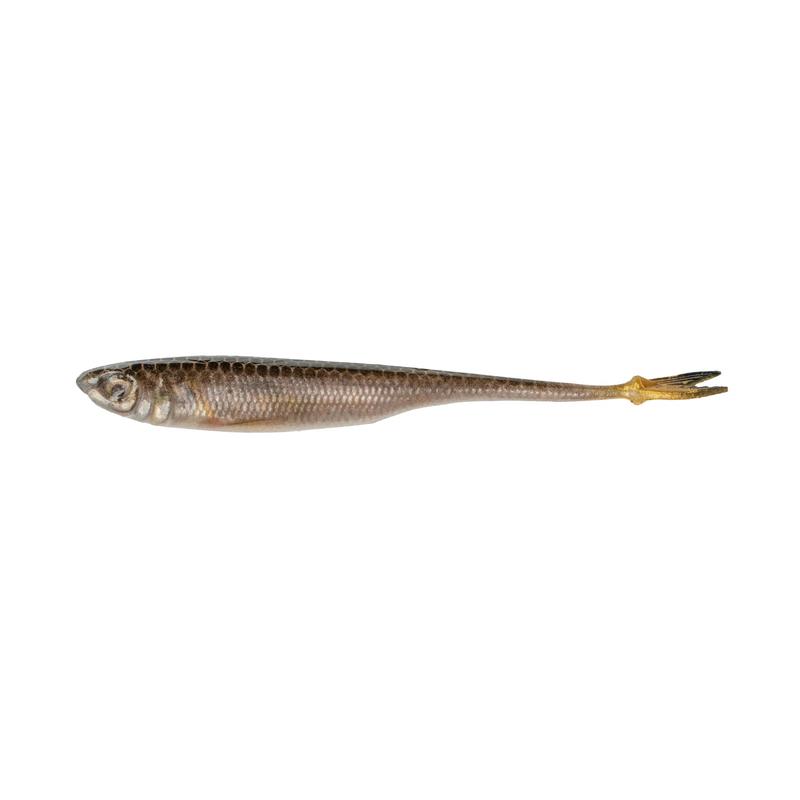 6th Sense Crappie Strobe Minnow