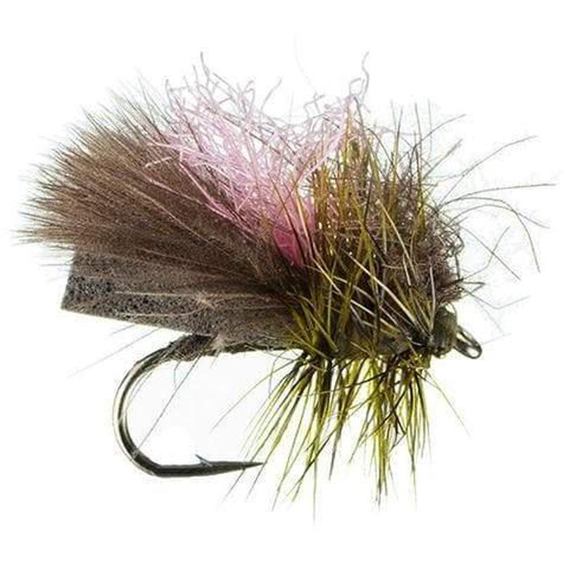 All Season Caddis - Olive - Size 14