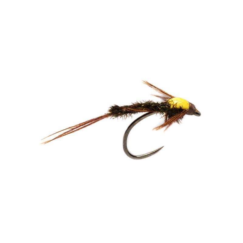 Burkus' Cracked Case PMD - Size 16