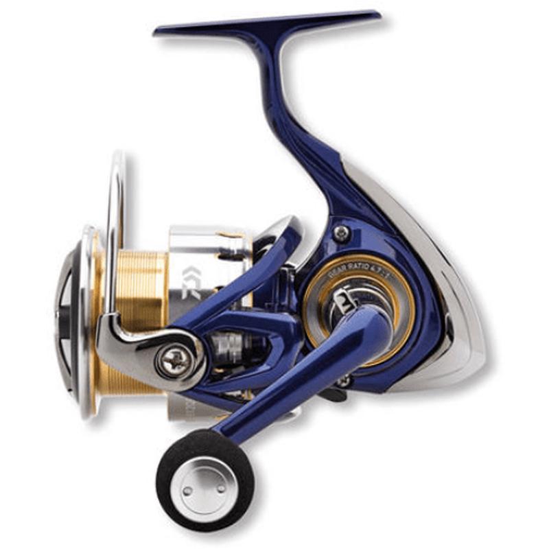 DAIWA 18 TDR MATCH & FEEDER QD