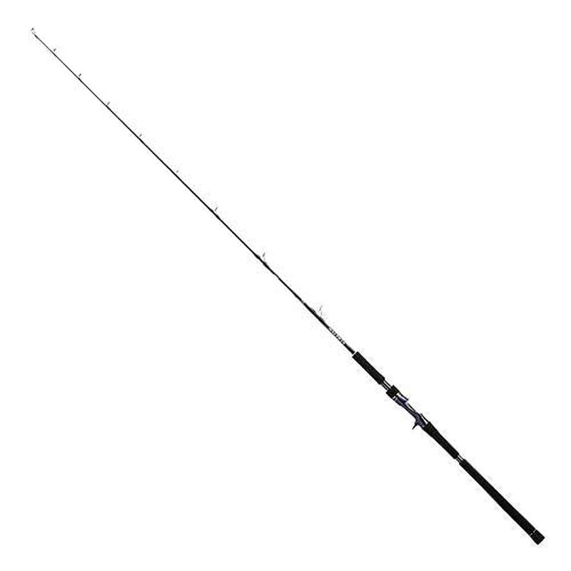 Daiwa SALTIGA R J63B-2 LO Baitcasting Rod 4550133254604