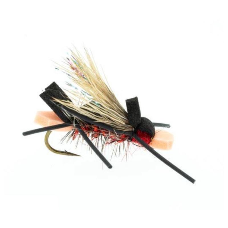 Amy's Ant - Red