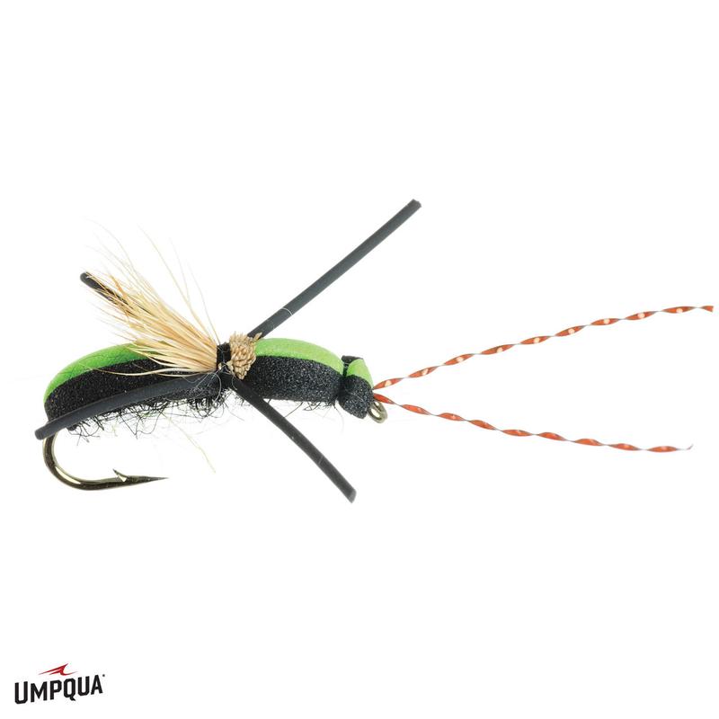 Longhorn Beetle - Size 10