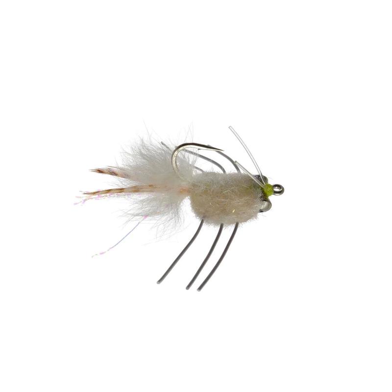 Casa Blanca Raghead Crab - White