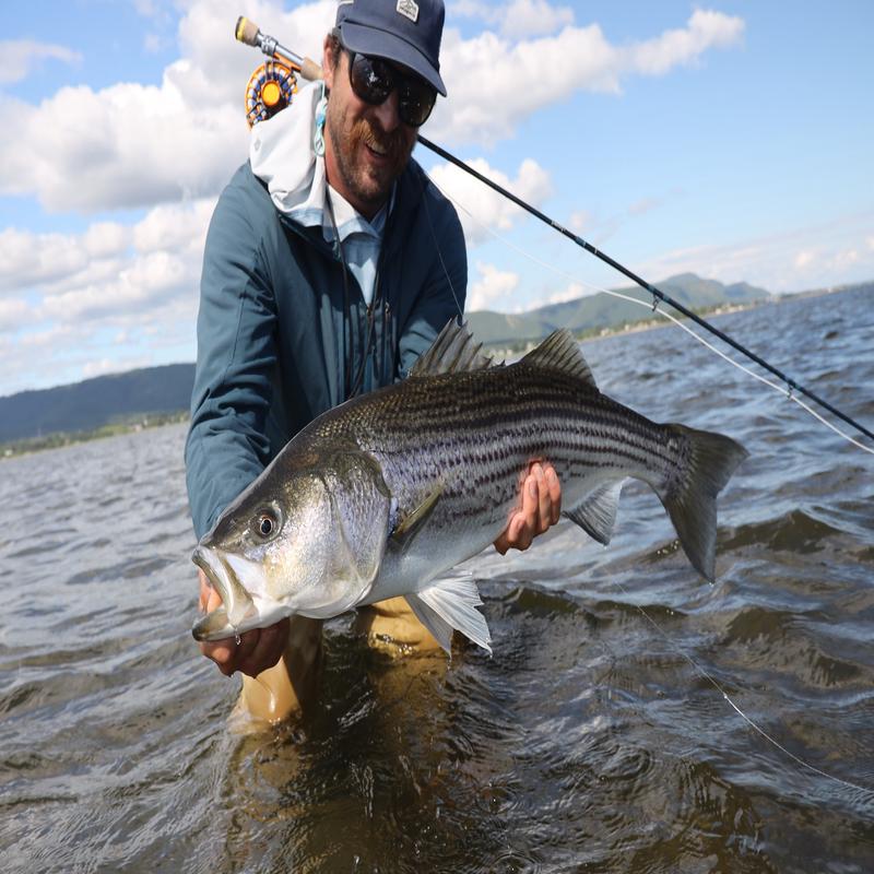 Gasp Coastal Lodge