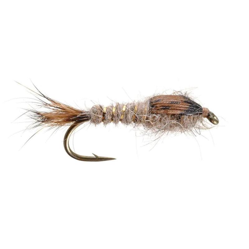 Gold Ribbed Hare's Ear