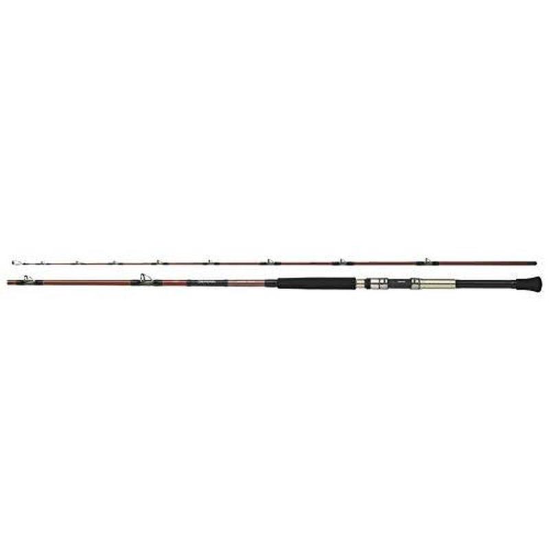 Daiwa Deep Zone 200-210 Offshore Boat Rod 4960652080804