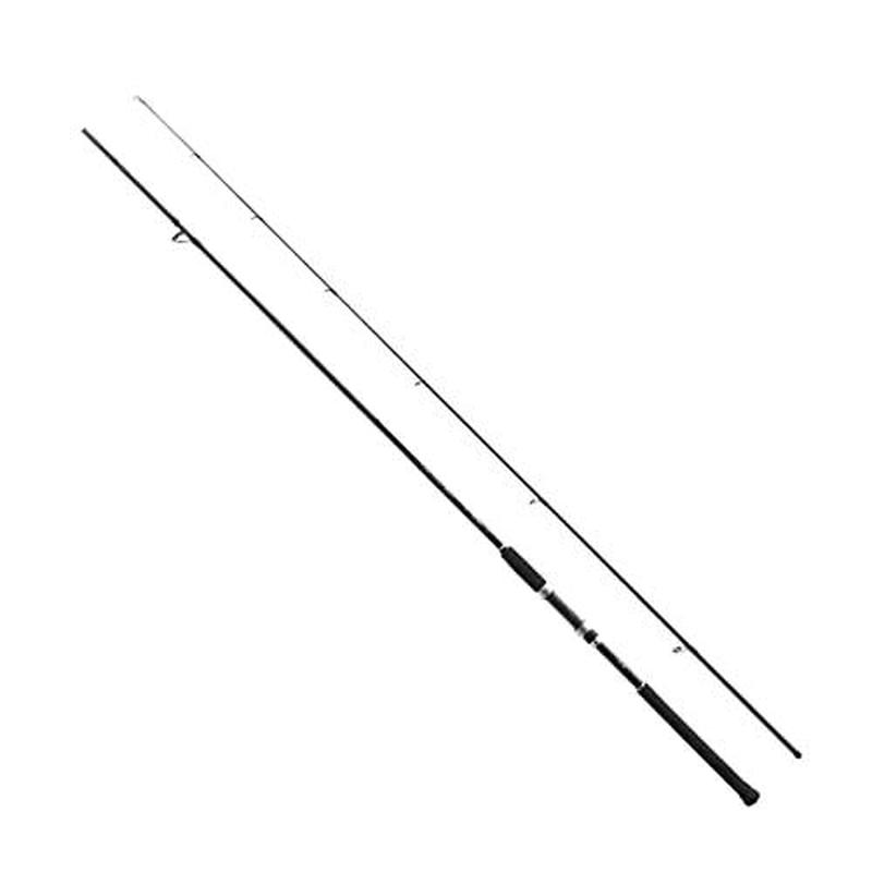 Shimano 19 SALTY ADVANCE LIGHT SHORE JIGING S100L Spinning Rod 4969363354174