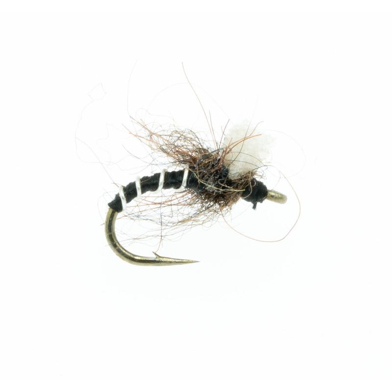 Massacre Midge - Black - Size 18