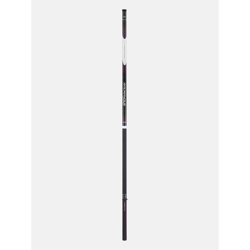Daiwa Amorphous Megatop Whip