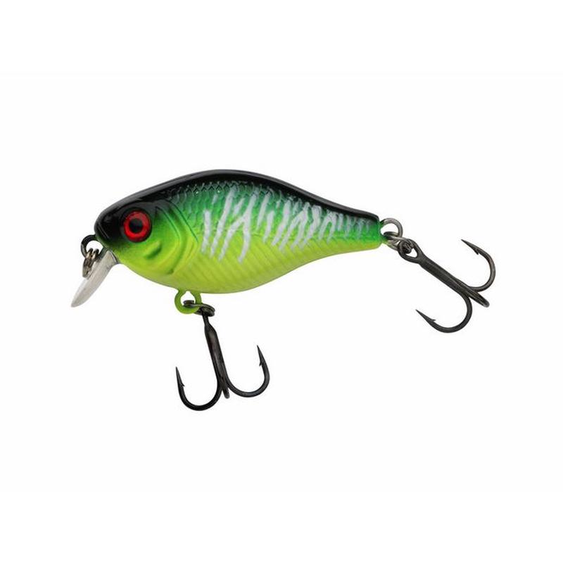 Pulse Fry Shallow