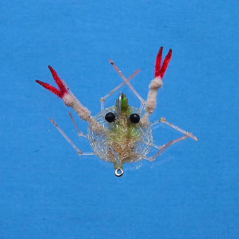Enrico Puglisi Descendent Crab Fly