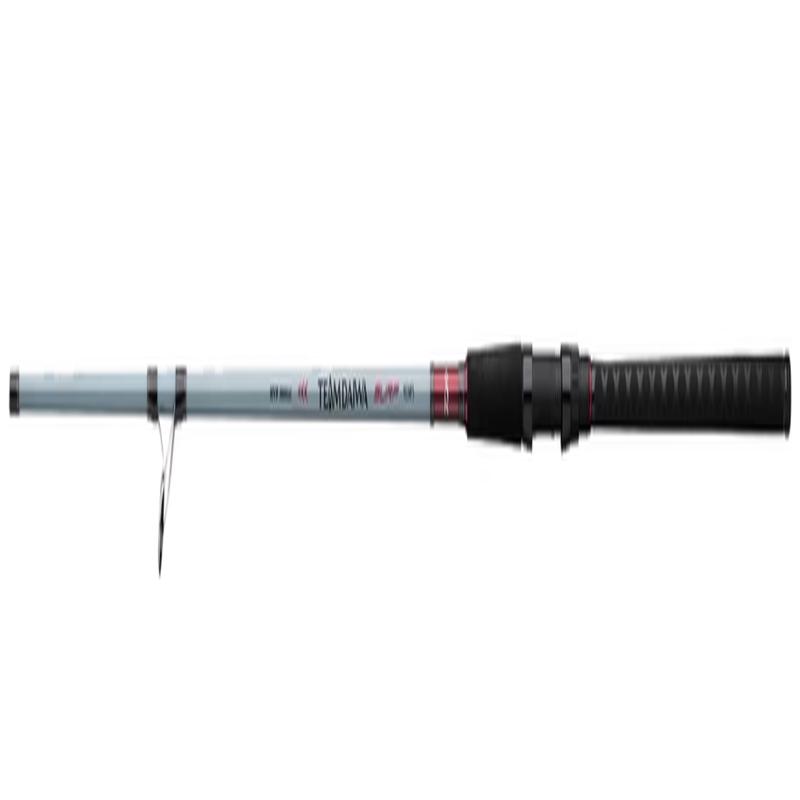 Team Daiwa Surf Spinning Rods